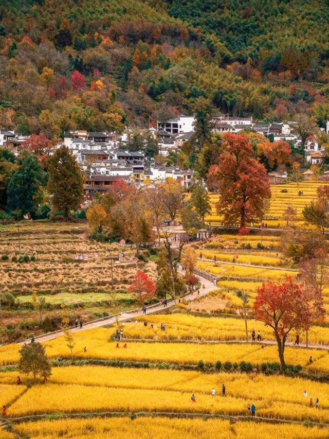 世界上只有安徽独有的15大奇景