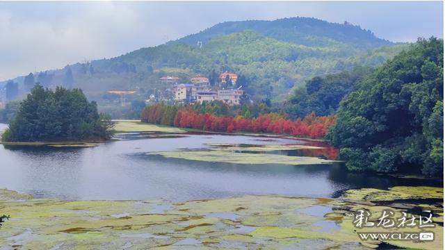 山水入画秋意来