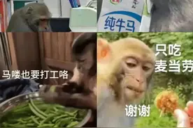 「黄人饭」，吊打西式健康餐？图片