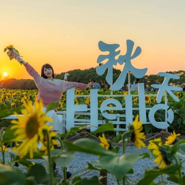 “金秋相城 Chill Travel”线路公布！