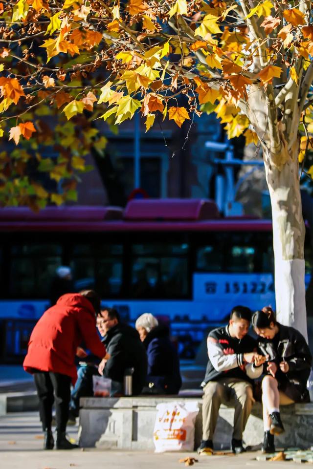 初冬的这座公园——这么静 那么美