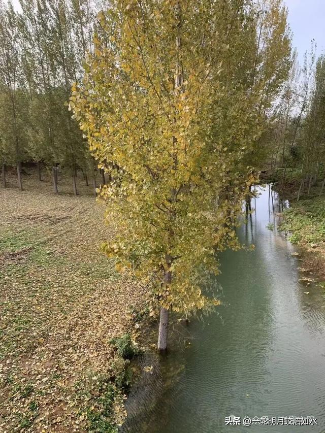 谁不想喝口甘泉水