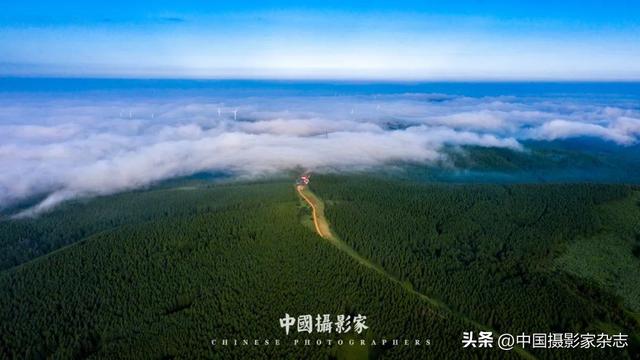 林树国｜塞罕坝林海之歌