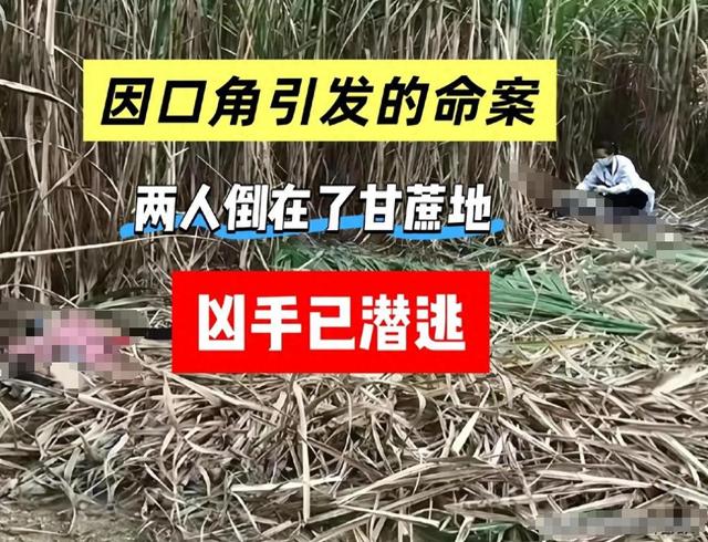 广西杀害2女性李某被抓！潜逃5日被老太在山洞发现，杀人动机曝光