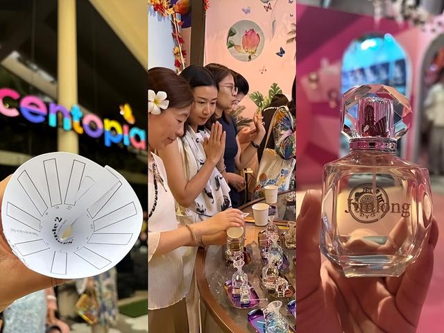 不赶场、多选择、懂需求：新加坡银发旅游的“反内卷”新体验