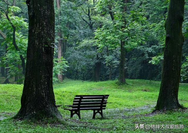 杭州植物园中，有两个老杭州人都不知道的秘密！