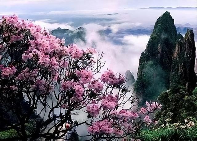 湘南荒山野岭火到韩国！本地人都少去，韩媒却眼红