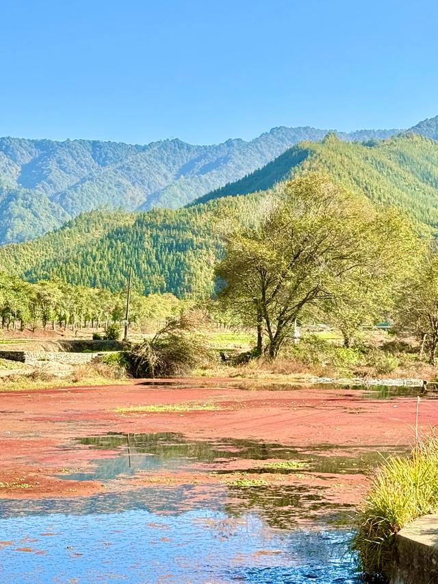 婺里古乡(上饶市婺源县)