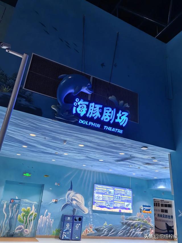 周末，带孩子到商场里的海洋世界玩一玩