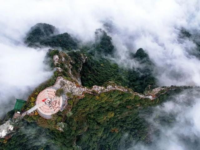 初秋神农山太绝了！龙脊穿云、白松摇曳，看不完的浪漫与惊喜！