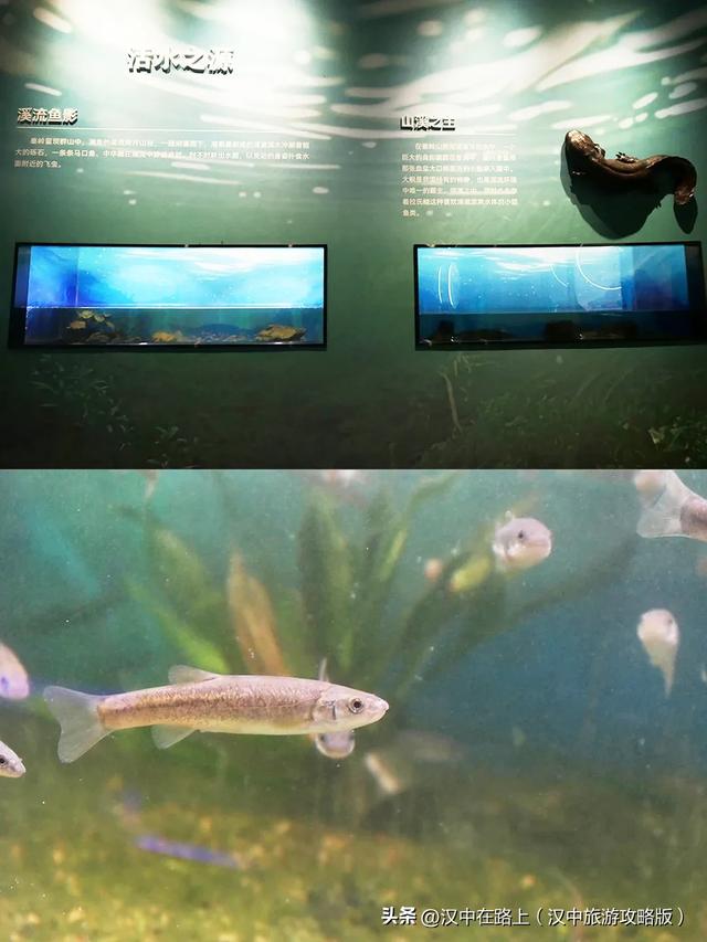 汉中巨型冰瀑奇观惊艳上线!