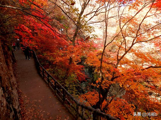 本溪太子河沿途一百公里风光——老边沟大石湖（四）