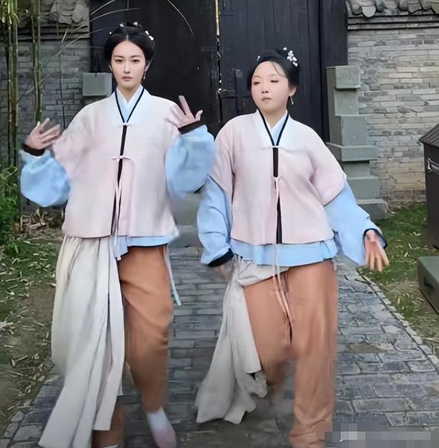 央视点名批评的6部烂剧，全都被下架处理，有的甚至没播完就被禁