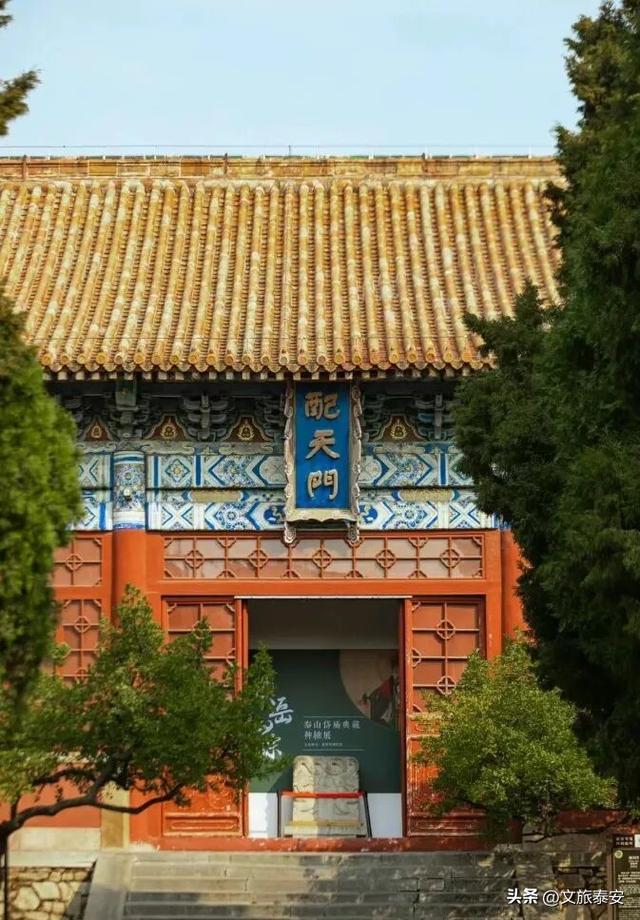 跟着节气游泰安 | 上班慌了？别怕！寒露后的泰安治愈你的“假期结束焦虑症”！