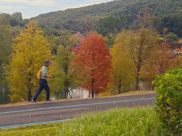 环西丽湖绿道骑行慢行随拍-动个好奇心