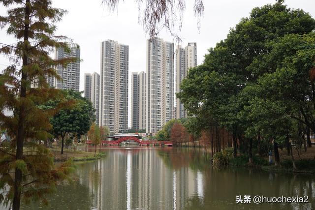 佛山真好逛——多彩的大墩村
