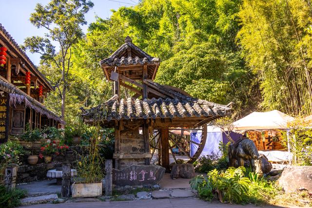 普洱游之那柯里