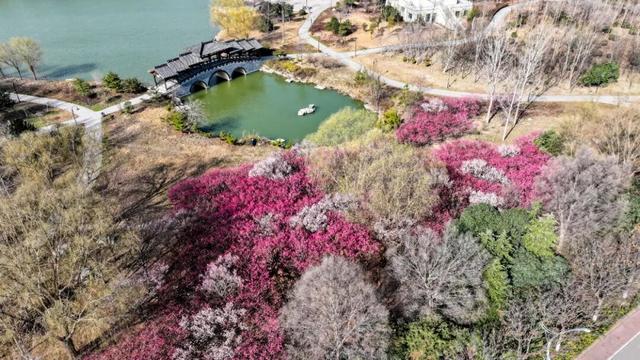 赴太白湖新区，邂逅济宁第一抹春色