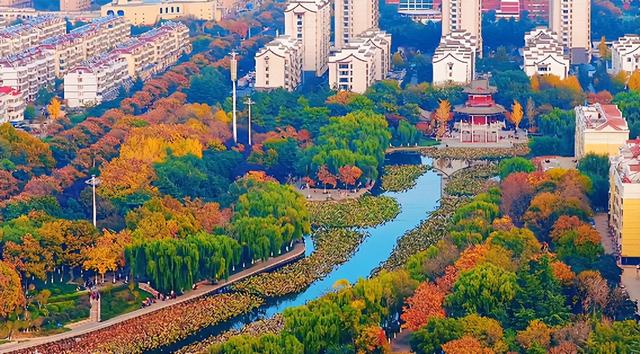 肥城秋冬的童话，收到了吗～满满诗意，满满爱！