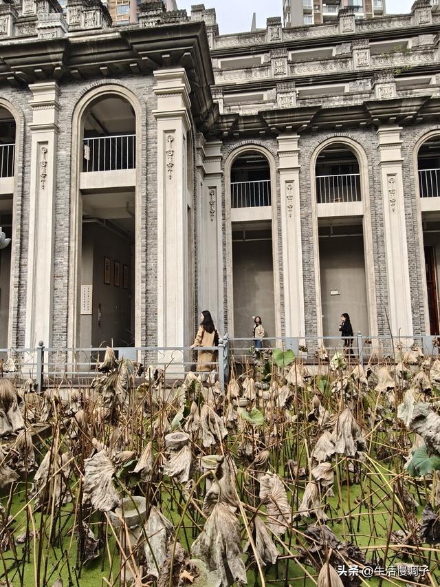 武汉十二月——一月一帧藏走过2025的四季光影