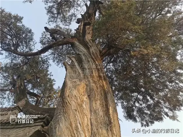 除了西安碑林，陕西这座宝藏碑林同样值得去！鲁迅也是它“粉丝”