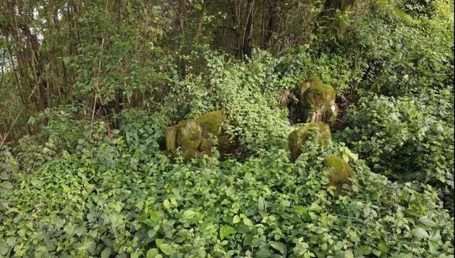 重庆璧山与沙坪坝交界处有一荒废古寺，四周散落残破石像