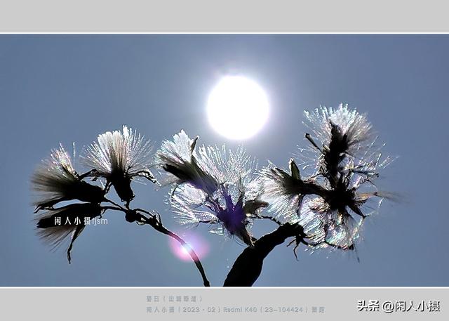聊手机摄影（85）手机摄影用光入门须掌握，极具表现力的逆光摄影