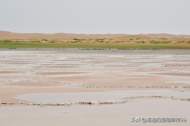 海边游记｜沙海狂飙与绿洲寻踪：内蒙古腾格里沙漠一日“历险记”