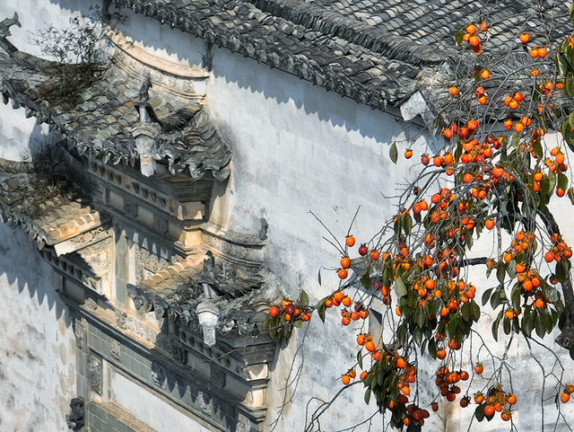 若你问深秋最该去哪里偷段闲？答案，就藏在黟县