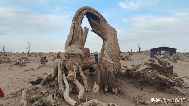 2025国庆西北自驾游（3）：黑城弱水胡杨风景区