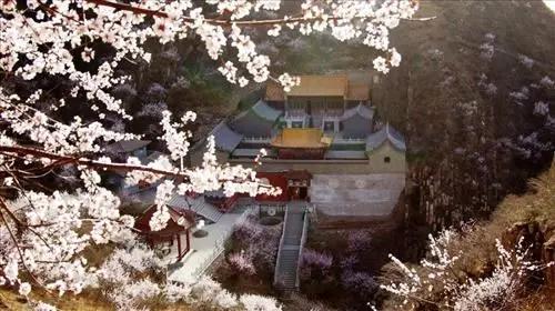 北京人扎堆张家口的秘密：省钱长胖只是幌子