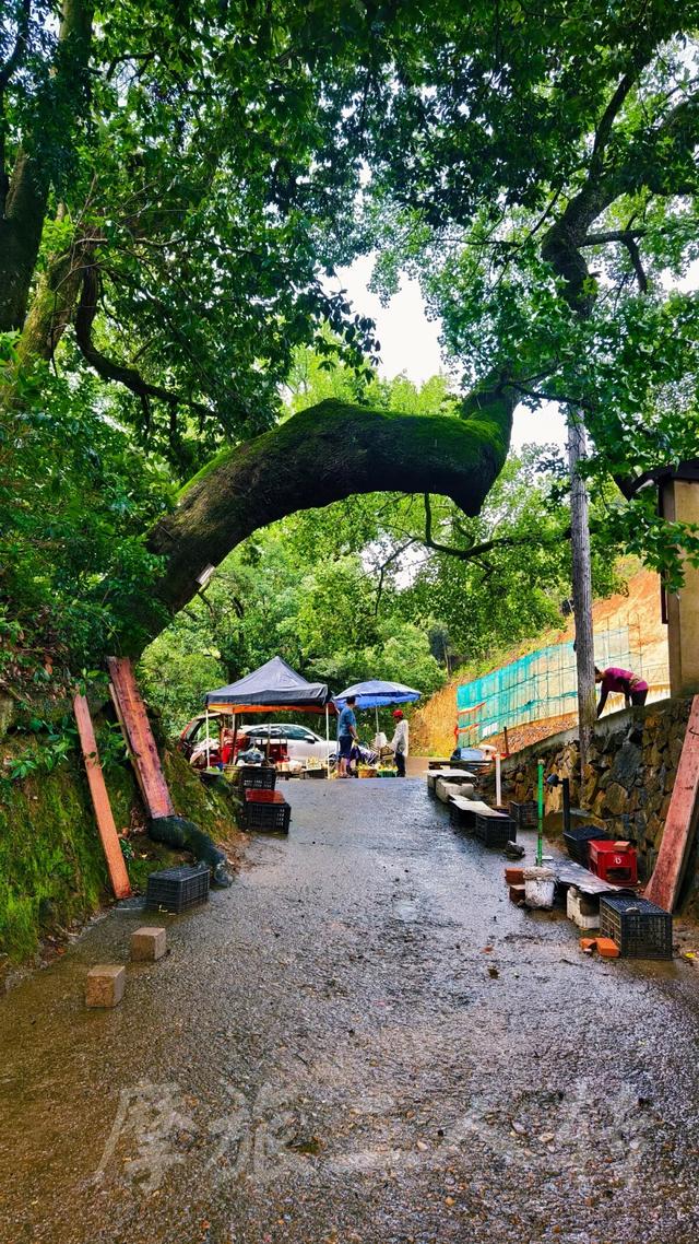 皖浙摩旅二人转——松阳松庄村篇