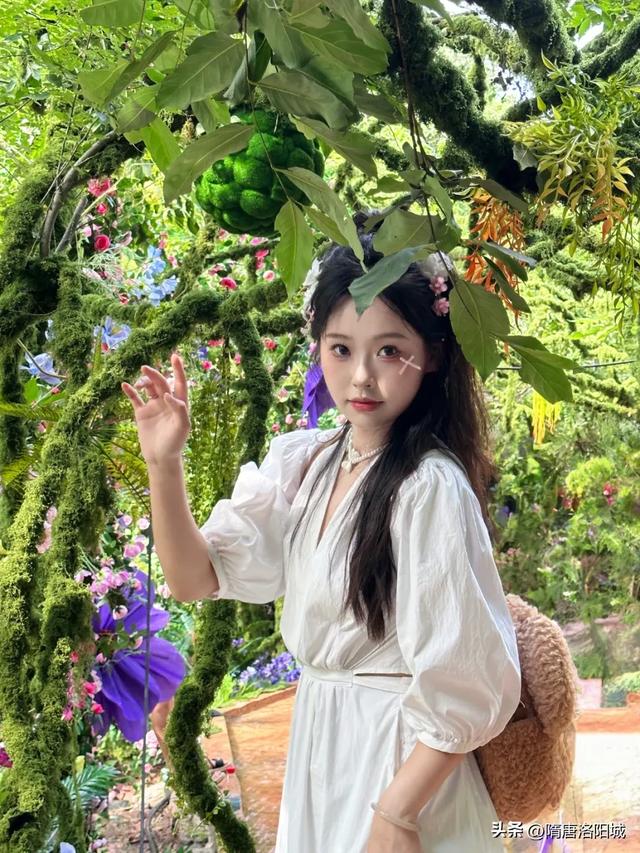 太美啦！@各位小仙女，洛阳这里上新“绿光森林”梦幻场景！