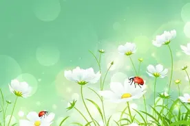 那年雨雪天坐大巴车，堵在高速上认识的女乘客，后来成了我妻子图片