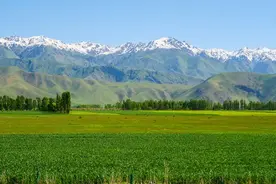 听说新疆男生普遍都很高是真的吗？网友评论引起万千共鸣图片