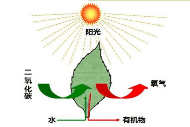 中国最大沙漠中唯一小镇，四周被黄沙覆盖，为何生活着2万人？