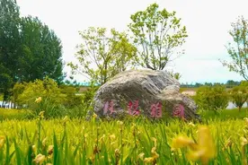 身在西安，却不知道门前这几个享受自由的地方？图片