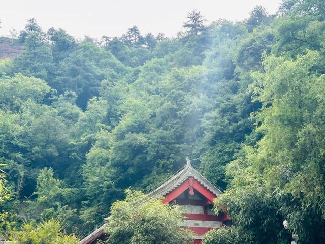 “铁腚大巴”甘南线第二站：麦积山石窟，多少微笑烟雨中
