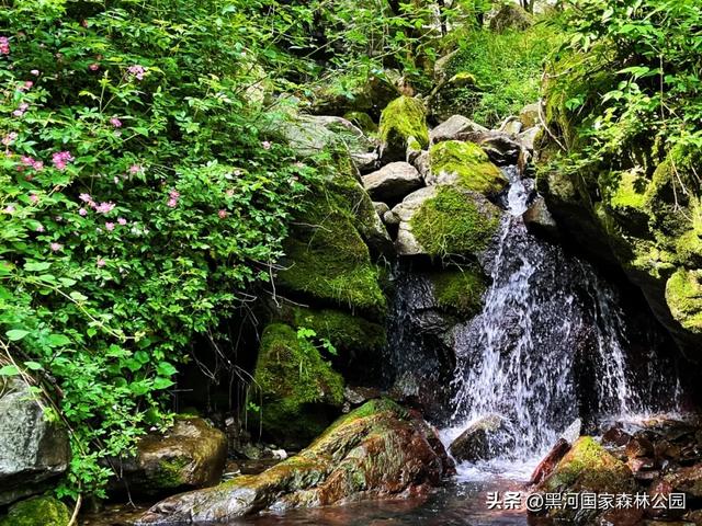 立秋已至,暑热未消,黑河山水与你相约“剩”夏的时光