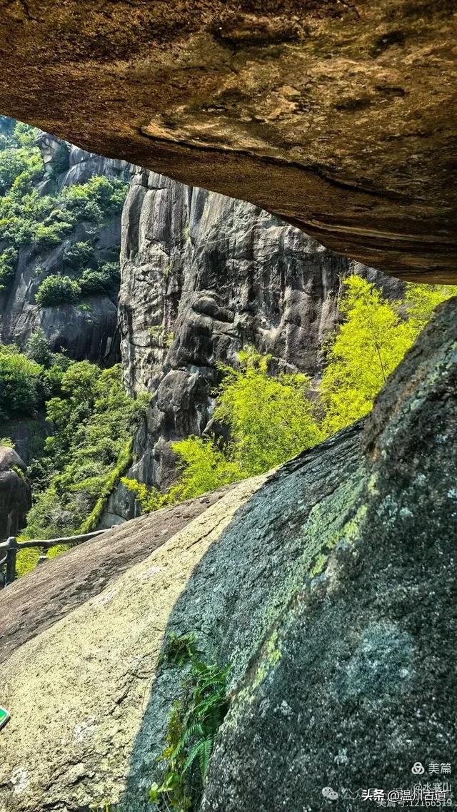 探秘浙南“小黄山”的绝美风光!夏日就去这个天然小众徒步氧吧!