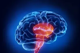 脑干出血：仅几毫升即可能致命！医生提醒：只有这样做才能远离它图片