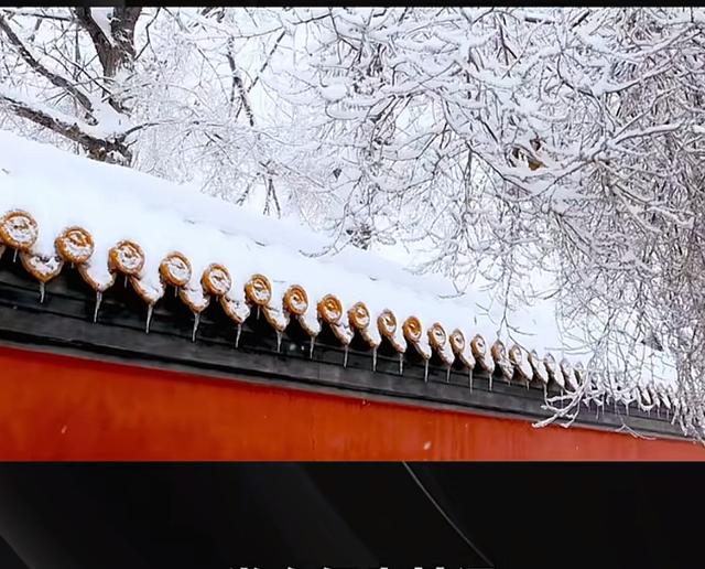 雪后颐和园一键变水墨画，这中式美学绝了！