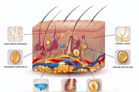 为何头皮总长疙瘩、脓包？医生提醒：或提示3种疾病，别大意图片