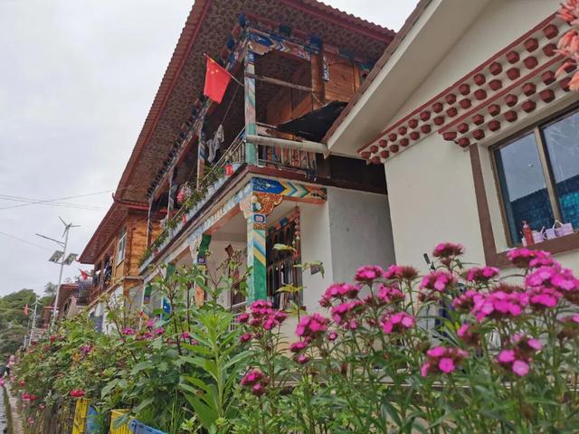 比格林童话更美！墨脱这个村坐拥雪山茶园秘境