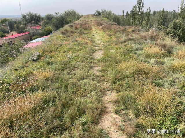 呼和浩特市托克托县田野考察笔记