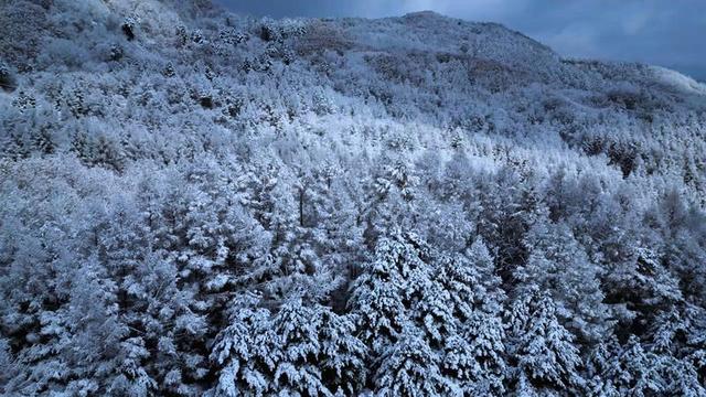 雪落江源！长白山下的水墨烟火夜