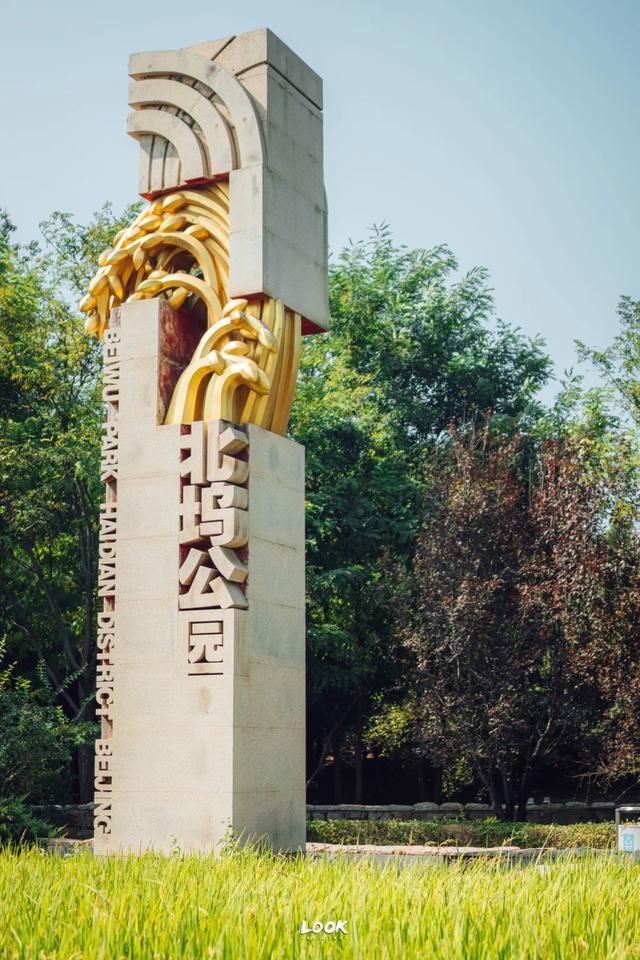 绝对不可以,错过这片金秋稻田