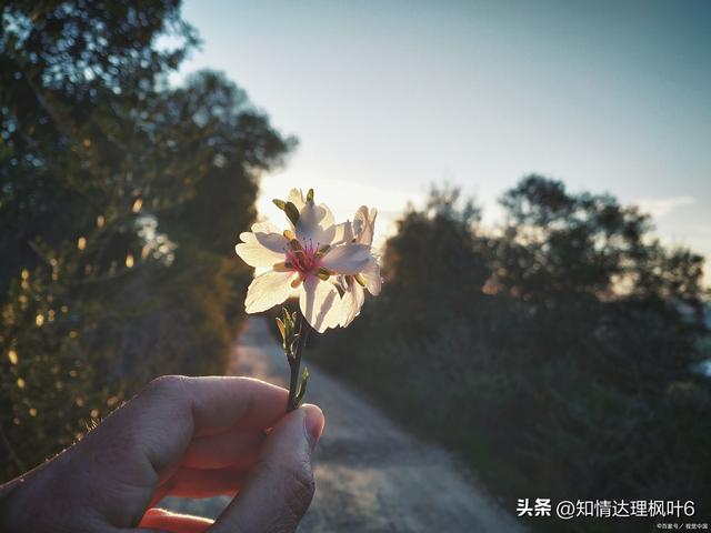 星光不问赶路人时光不负有心人什么意思