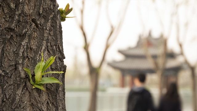 人口警报拉响！天降大喜，国家动真格？生育“三䃼一报销”落地