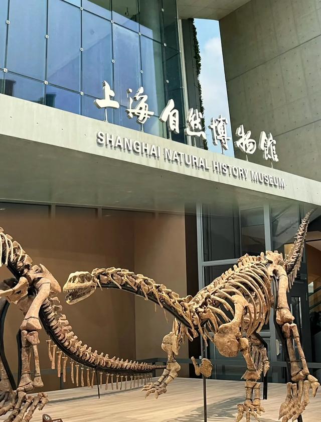 赌你不敢看完！上海10大博物馆，进去一个哭一个，太离谱了！